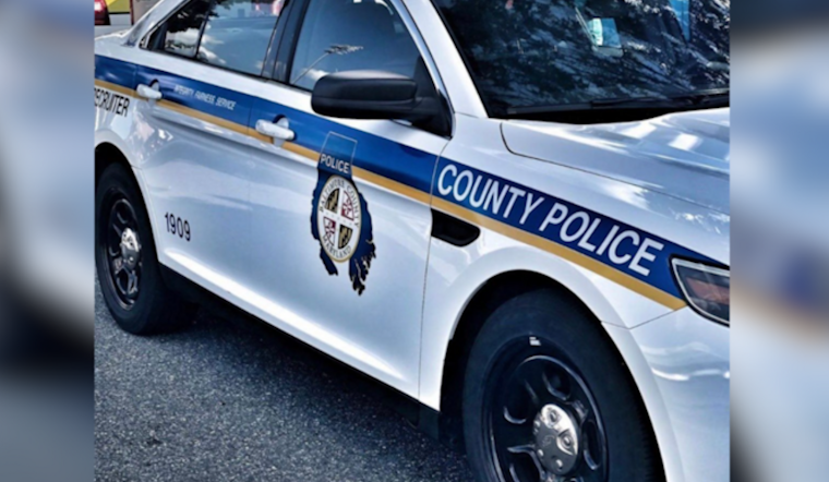 Baltimore Teens Face Charges for Burning Dead Deer in Perry Hall Community Incident
