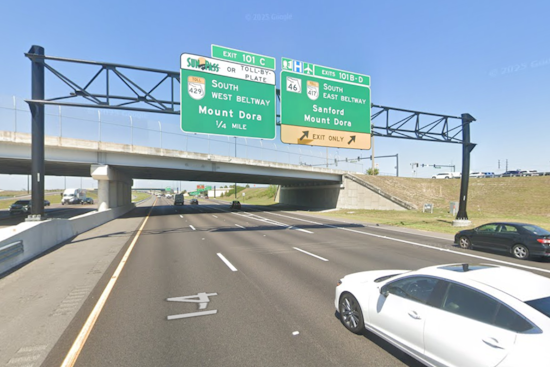 Bear Fatally Struck by Vehicle Along I-4 Near Lake Mary, Prompting FWC Investigation