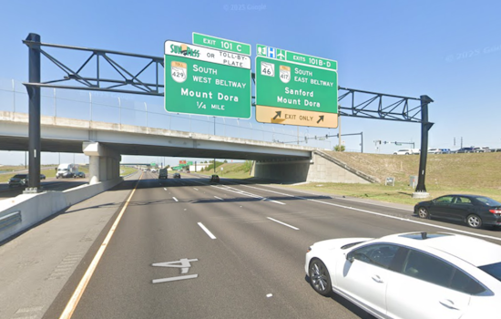 Bear Fatally Struck by Vehicle Along I-4 Near Lake Mary, Prompting FWC Investigation