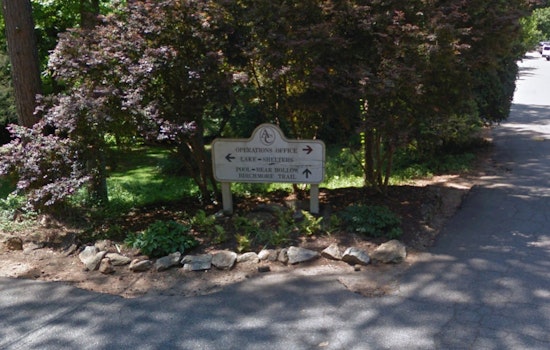 Bear Hollow Zoo in Athens Temporarily Closed for Safety Due to Hazardous Tree
