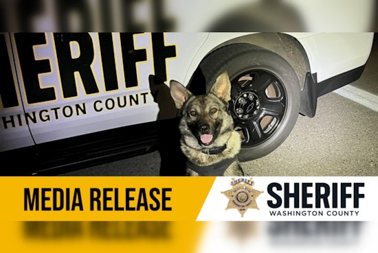 Beaverton Fugitive Alberto Gamboa-Mendez Indicted on Multiple Charges Following K9-Assisted Capture