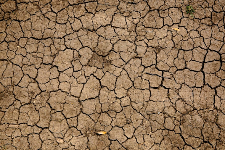 Big Island Drought Crisis Deepens as Ranchers Face Emergency Water Shortages