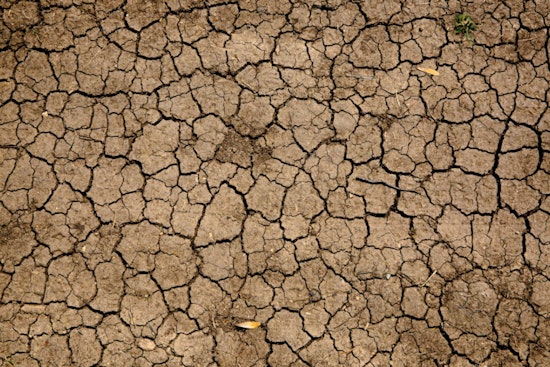 Big Island Drought Crisis Deepens as Ranchers Face Emergency Water Shortages
