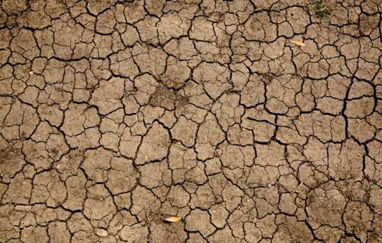 Big Island Drought Crisis Deepens as Ranchers Face Emergency Water Shortages