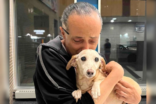 Blind Chicago Resident Joyfully Reunited with Stolen Support Dog in Logan Square