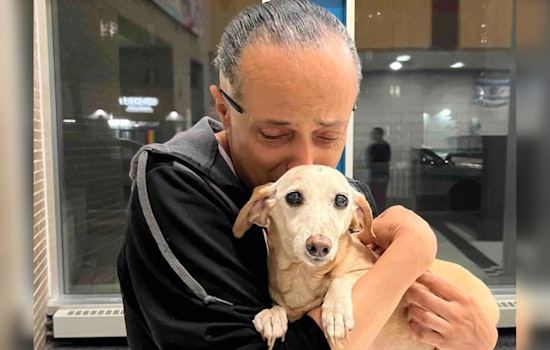 Blind Chicago Resident Joyfully Reunited with Stolen Support Dog in Logan Square