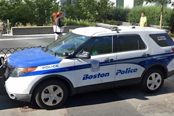 Boston Blitz on Traffickers: 13 Nabbed in Roxbury Sting, Eliphete Pierre and Adam C. Evans Among Alleged Predators Facing Justice