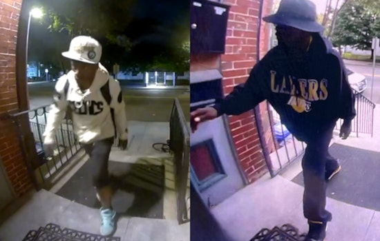 Boston Police Seek Public's Help to Identify Suspected Burglar in Roxbury Area