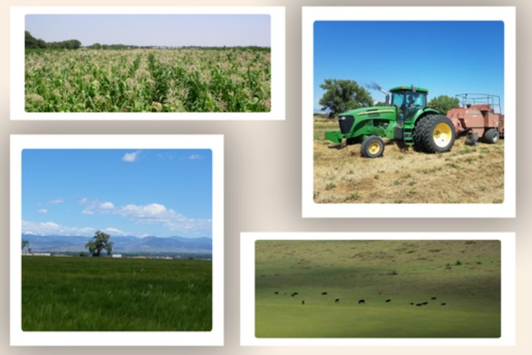 Boulder County Celebrates 50 Years of Parks with Exclusive 'Behind the Barn Doors' Farm Tours