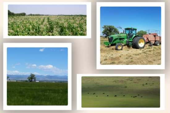 Boulder County Celebrates 50 Years of Parks with Exclusive 'Behind the Barn Doors' Farm Tours