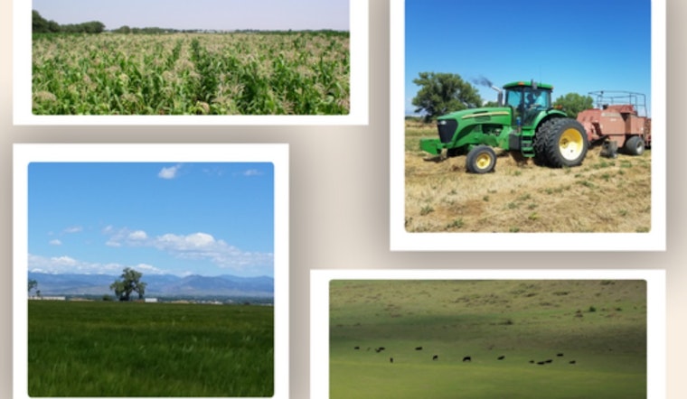 Boulder County Celebrates 50 Years of Parks with Exclusive 'Behind the Barn Doors' Farm Tours