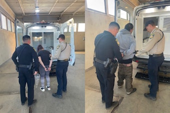 Brentwood Police Nab Duo Suspected in Mail Theft Spree Following Morning Operation at Blossom Apartments