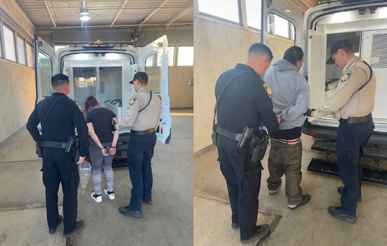 Brentwood Police Nab Duo Suspected in Mail Theft Spree Following Morning Operation at Blossom Apartments