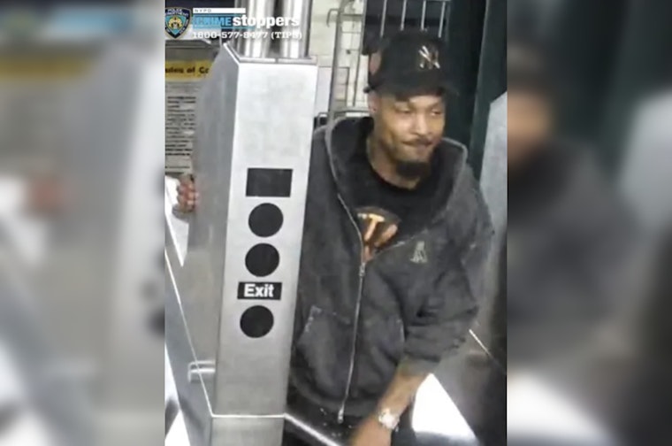 Bronx Man Reunited with Stolen Dog After Four Days as NYPD Seeks Suspect in Subway Theft