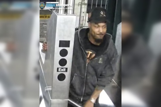 Bronx Man Reunited with Stolen Dog After Four Days as NYPD Seeks Suspect in Subway Theft
