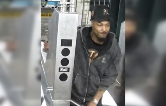 Bronx Man Reunited with Stolen Dog After Four Days as NYPD Seeks Suspect in Subway Theft