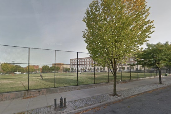 Brooklyn's Green Central Knoll Park Overrun by Off-Leash Dogs and Dog Waste, Frustrating Local Baseball Players