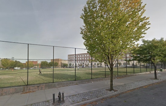 Brooklyn's Green Central Knoll Park Overrun by Off-Leash Dogs and Dog Waste, Frustrating Local Baseball Players