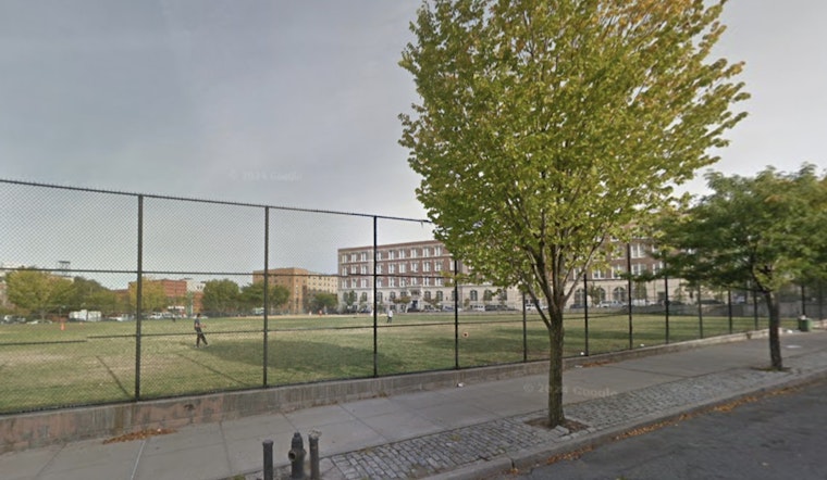 Brooklyn's Green Central Knoll Park Overrun by Off-Leash Dogs and Dog Waste, Frustrating Local Baseball Players