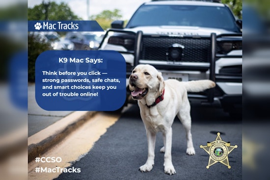 Cabarrus County Sheriff's Office Issues Advisory on Online 'Sextortion' Threats to Children
