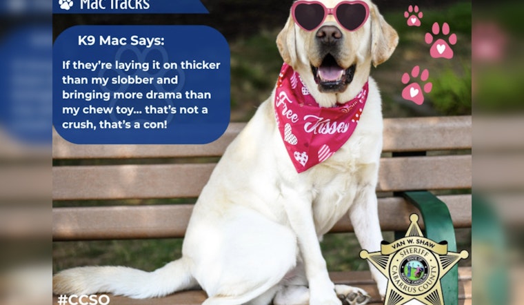 Cabarrus County Sheriff's Office Warns of 'Love Bombing' Romance Scams in Online Dating Alert