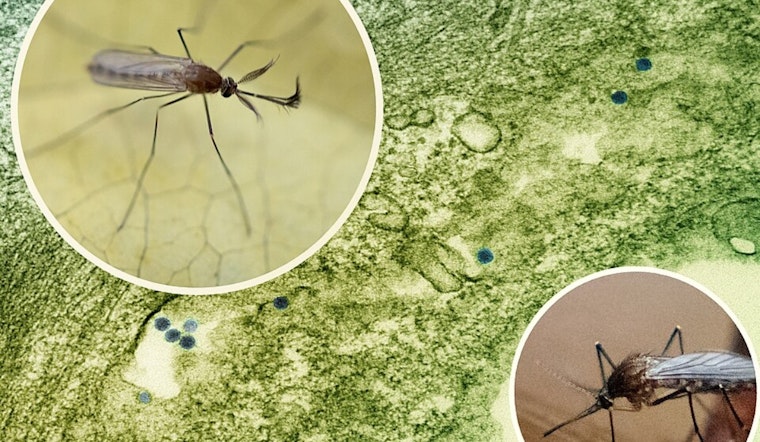 Cache County Reports Two New West Nile Virus Cases as Utah's Total Rises to Three
