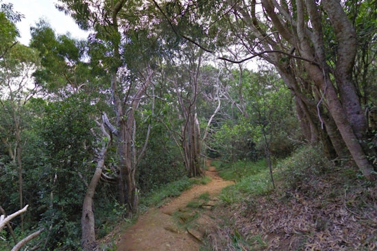 California Hiker Rescued by Kaua‘i Fire Department After Ankle Injury on Waipo‘o Falls Trail