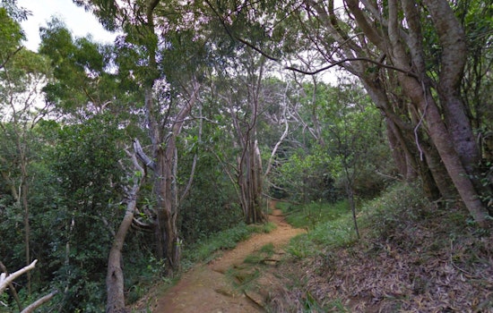 California Hiker Rescued by Kaua‘i Fire Department After Ankle Injury on Waipo‘o Falls Trail