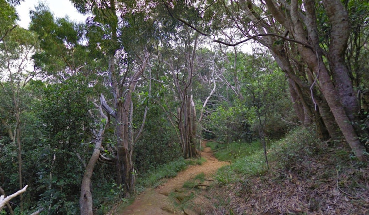 California Hiker Rescued by Kaua‘i Fire Department After Ankle Injury on Waipo‘o Falls Trail
