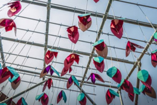 Cambridge Unveils "Heat BLOOMS" Installation in Harvard Square to Highlight Climate Preparedness