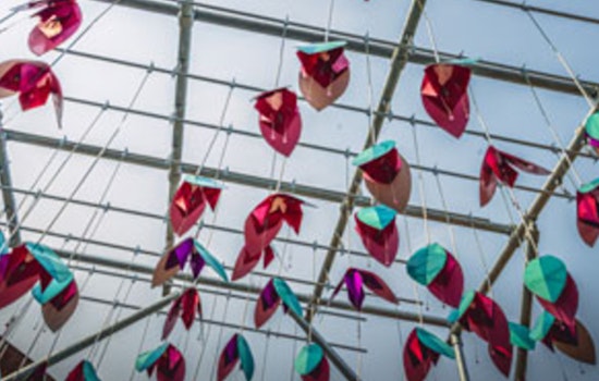 Cambridge Unveils "Heat BLOOMS" Installation in Harvard Square to Highlight Climate Preparedness