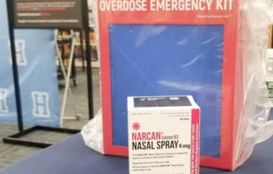 Camden County Witnesses a 37% Drop in Fatal Overdoses, Echoing National Downtrend in Substance-Related Deaths