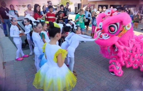 Carrollton Culture Fest: A Free Global Extravaganza of Food, Drinks, and Performances Coming September 27