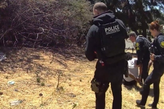 Castro Valley Jewelry Heist Leads to Multi-agency Apprehension and High-Speed Chase, Suspect Arrested After Forest Chase