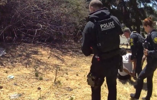 Castro Valley Jewelry Heist Leads to Multi-agency Apprehension and High-Speed Chase, Suspect Arrested After Forest Chase