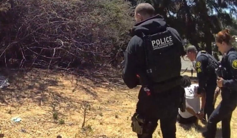 Castro Valley Jewelry Heist Leads to Multi-agency Apprehension and High-Speed Chase, Suspect Arrested After Forest Chase