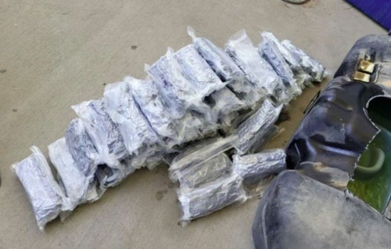 CBP Canine Unit Sniffs Out Nearly 70 Pounds of Meth at El Paso Border, Mexican National Detained