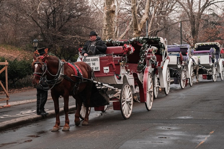 Central Park Conservancy Backs Bill to Ban Horse-Drawn Carriages in New York Amid Safety Concerns