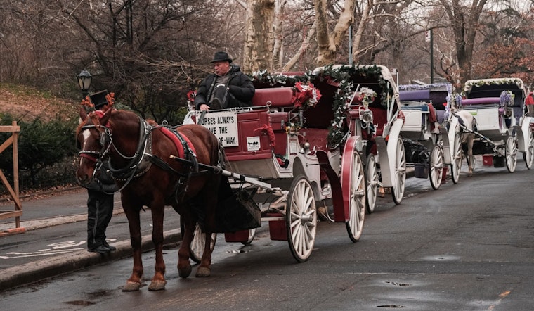 Central Park Conservancy Backs Bill to Ban Horse-Drawn Carriages in New York Amid Safety Concerns