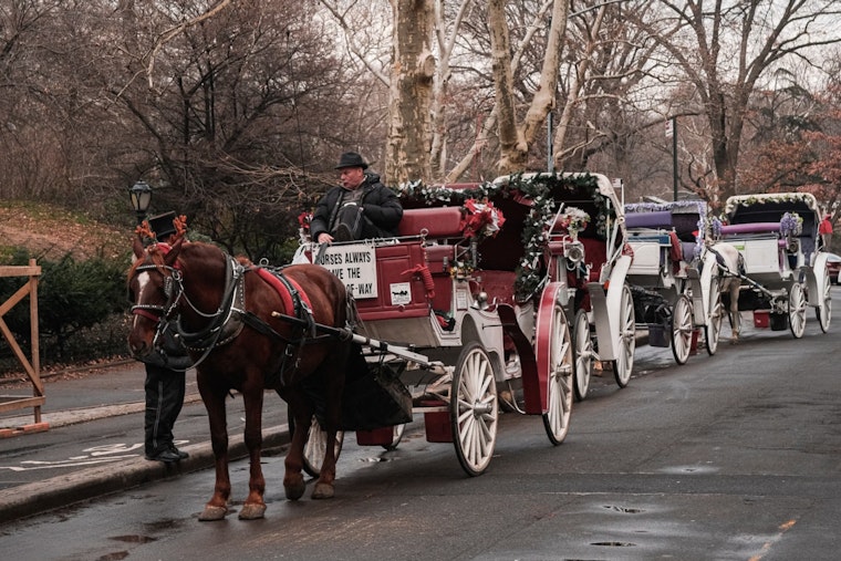 Central Park Conservancy Calls for Ban on Carriage Horses in New York City Amid Safety, Welfare Concerns