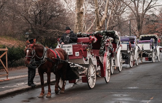 Central Park Conservancy Calls for Ban on Carriage Horses in New York City Amid Safety, Welfare Concerns