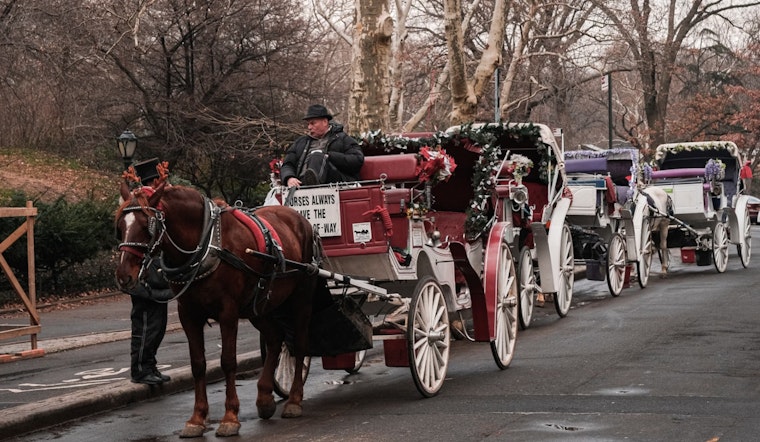 Central Park Conservancy Calls for Ban on Carriage Horses in New York City Amid Safety, Welfare Concerns