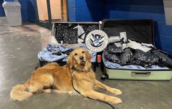 Charlotte-Mecklenburg Police Mourn the Loss of Beloved K-9 Cali After 7 Years of Service
