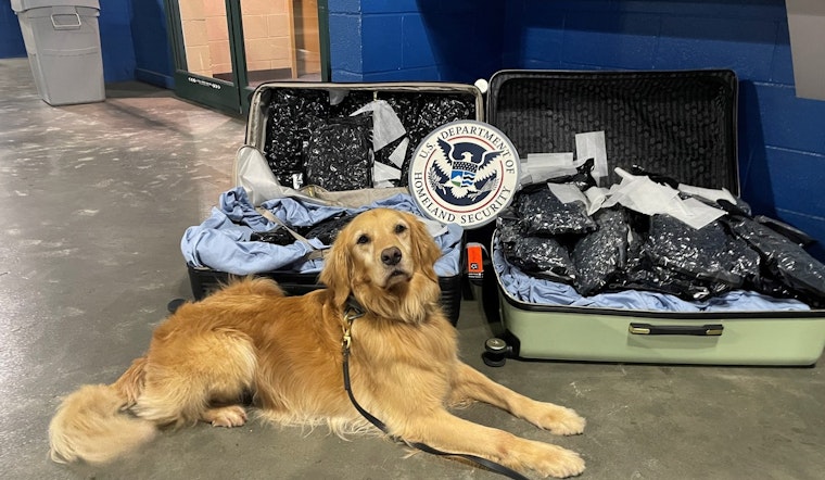 Charlotte-Mecklenburg Police Mourn the Loss of Beloved K-9 Cali After 7 Years of Service