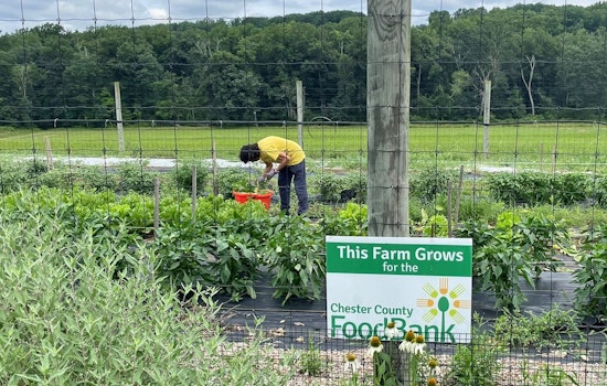 Chester County Boosts Local Food Bank with $75,000 Grant Amidst Funding Crisis