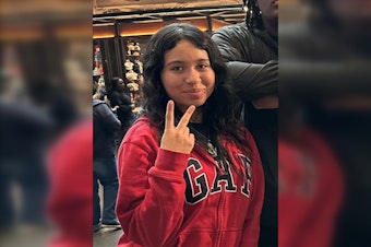Chicago Police Seek Public's Help in Finding Missing 14-Year-Old Priscilla Zavala