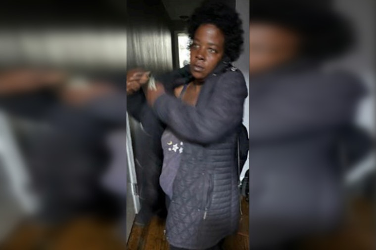 Chicago Police Seek Public's Help in Locating Missing Woman Sandra "Pochahontas" Adams Amidst Concerns for Her Wellbeing