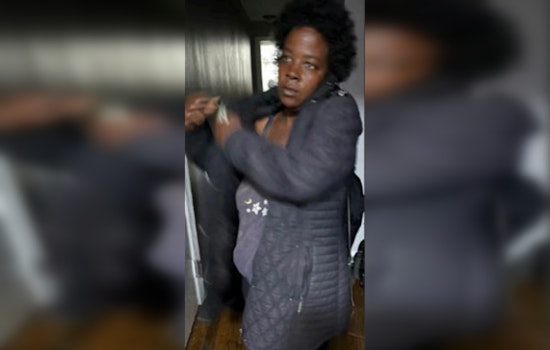 Chicago Police Seek Public's Help in Locating Missing Woman Sandra "Pochahontas" Adams Amidst Concerns for Her Wellbeing