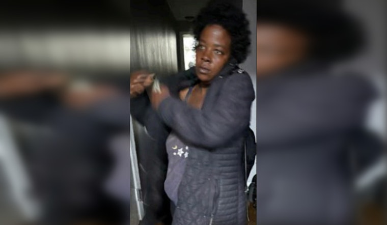 Chicago Police Seek Public's Help in Locating Missing Woman Sandra "Pochahontas" Adams Amidst Concerns for Her Wellbeing