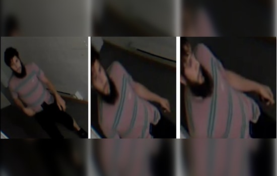 Chicago Police Seek Public's Help to Identify Suspect in Scottsdale Area Burglary